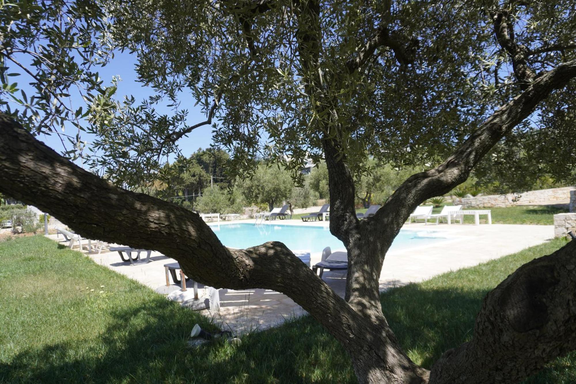 Trullo Amico
