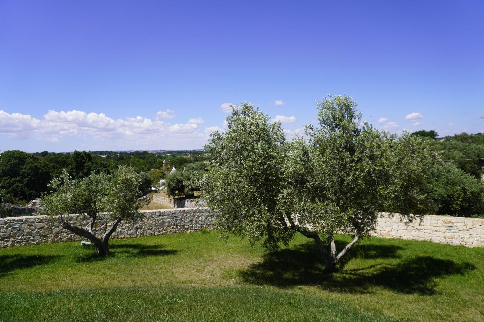 Trullo Amico Holiday home *