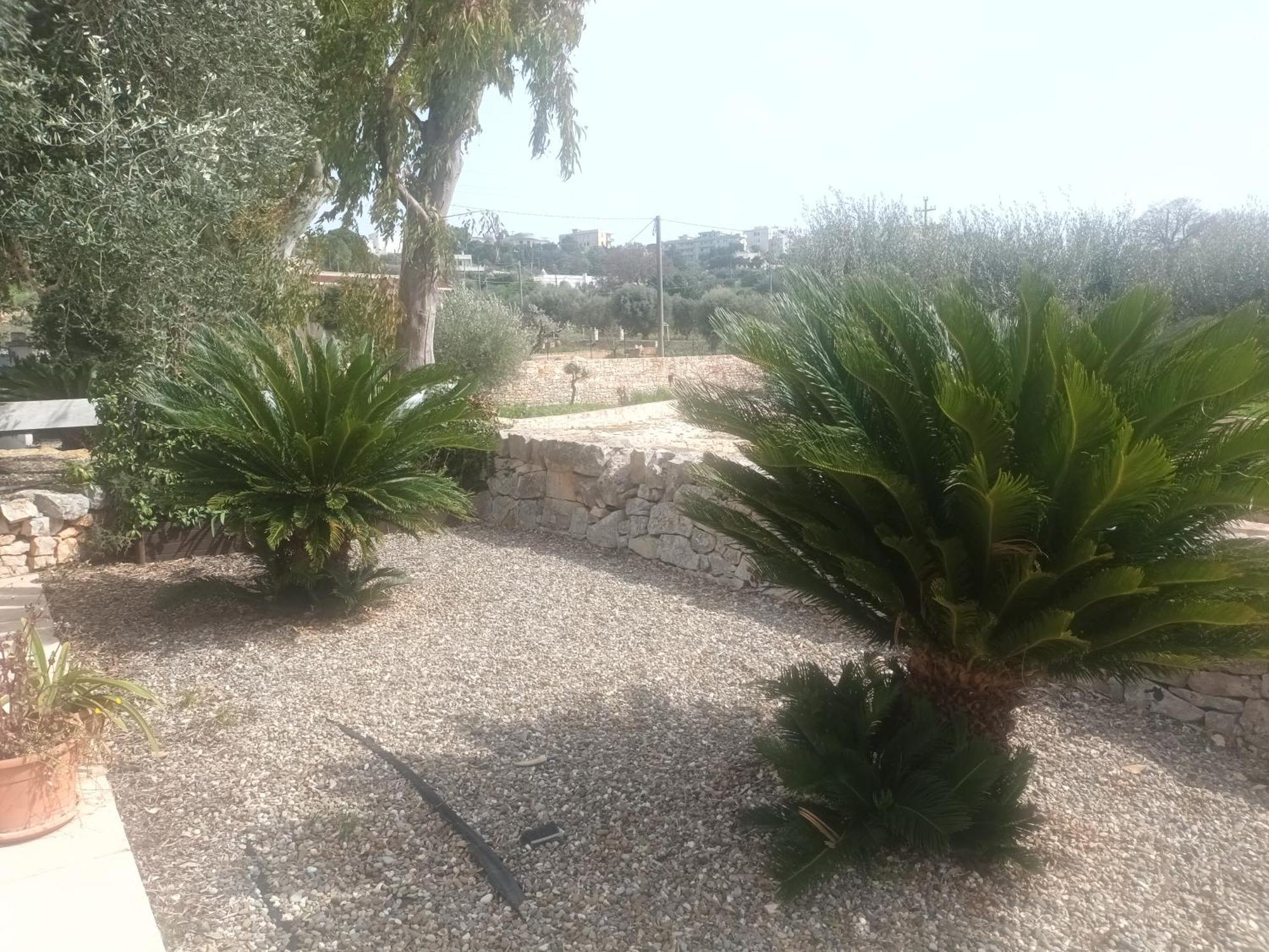 Trullo Amico Holiday home